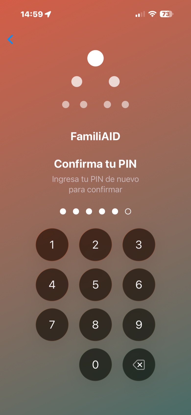 Pantalla para confirmar el PIN